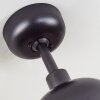 Ventilateur de plafond Follseland Brun, Couleur bois, Noir, Télécommandes