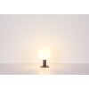 Borne lumineuse Globo OSSY Anthracite, 1 lumière, Détecteur de mouvement