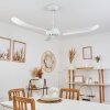 Ventilateur de plafond Virrik Blanc, Télécommandes