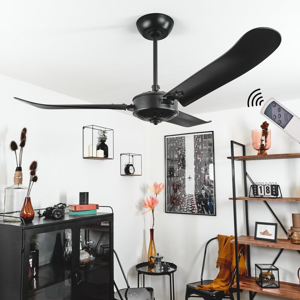 Ventilateur de plafond Virrik Noir, Télécommandes main product photo