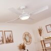 Ventilateur de plafond Tjerne LED Blanc, 1 lumière