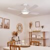 Ventilateur de plafond Tjerne LED Blanc, 1 lumière