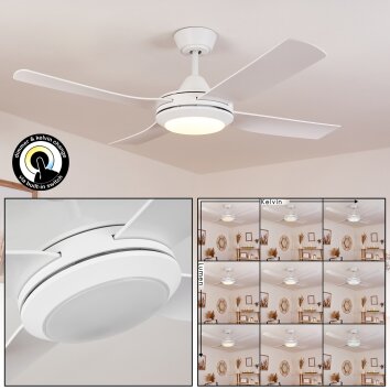 Ventilateur de plafond Tjerne LED Blanc, 1 lumière