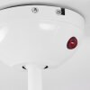 Ventilateur de plafond Hausvik Brun, Blanc, 1 lumière, Télécommandes