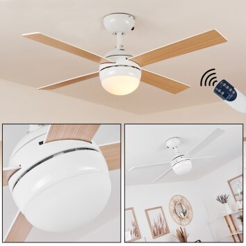 Ventilateur de plafond Hausvik Brun, Blanc, 1 lumière, Télécommandes