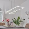Suspension Omega LED Blanc, 1 lumière