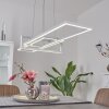 Suspension Omega LED Blanc, 1 lumière