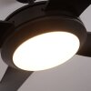 Ventilateur de plafond Tjerne LED Noir, 1 lumière