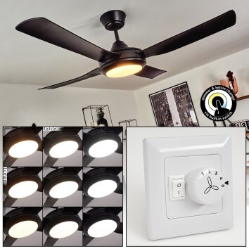 Ventilateur de plafond Tjerne LED Noir, 1 lumière