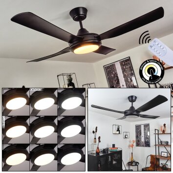 Ventilateur de plafond Tjerne LED Noir, 1 lumière, Télécommandes
