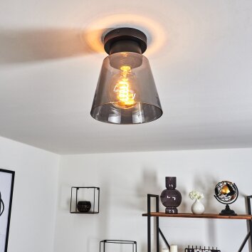 Plafonnier Angelshaug Fumé, 1 lumière