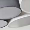 Plafonnier Trisett Gris, Noir, Blanc, 5 lumières