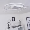 Plafonnier Loftheim LED Chrome, Blanc, 1 lumière