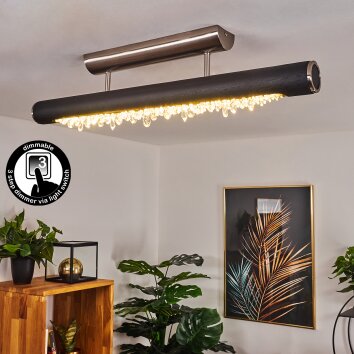 Plafonnier Rodeche LED Nickel mat, Noir, 1 lumière