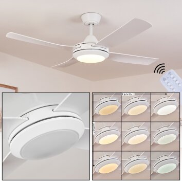 Ventilateur de plafond Tjerne LED Blanc, 1 lumière, Télécommandes