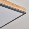 Plafonnier Salmi LED Couleur bois, Noir, Blanc, 1 lumière, Télécommandes