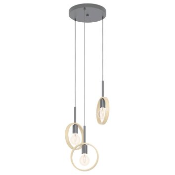 Suspension Eglo-Leuchten IPSDEN Noir, 3 lumières