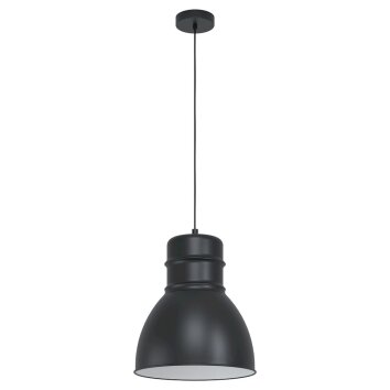 Suspension Eglo-Leuchten EBURY Noir, Blanc, 1 lumière