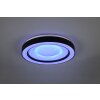 Plafonnier Reality Arco LED Noir, 1 lumière, Télécommandes, Changeur de couleurs