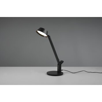 Lampe de table Trio-Leuchten Ava LED Noir, 1 lumière