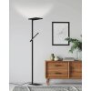 Lampadaire Eglo-Leuchten CARBONERAS LED Noir, 2 lumières