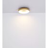 Plafonnier Globo JOLLI LED Couleur bois, 1 lumière, Télécommandes