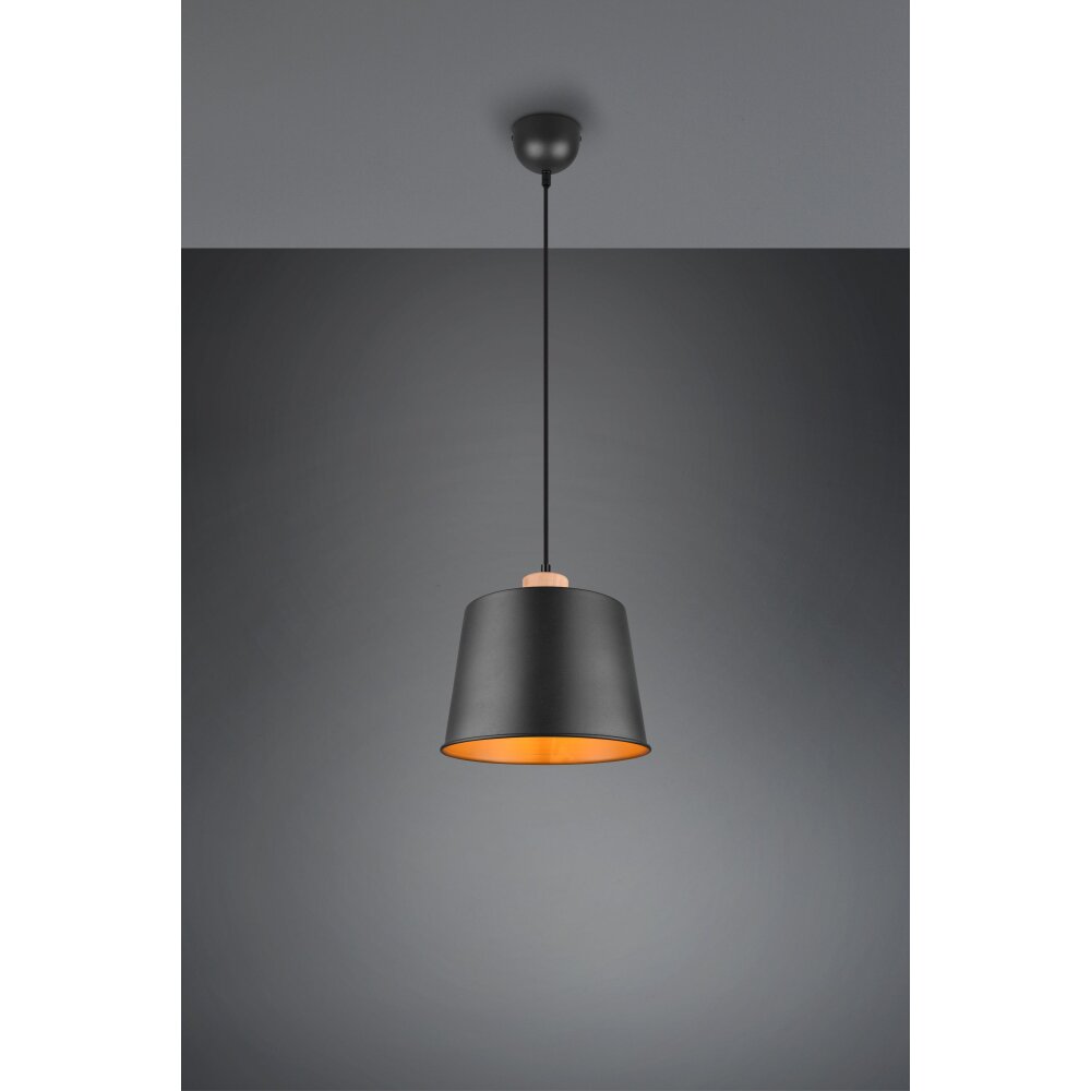 Suspension Trio-Leuchten Harris Noir, 1 lumière main product photo