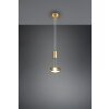 Suspension Trio-Leuchten Franklin LED Laiton, 1 lumière