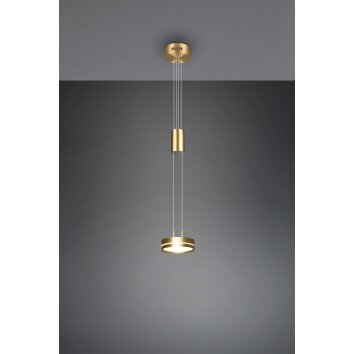 Suspension Trio-Leuchten Franklin LED Laiton, 1 lumière