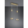 Suspension Trio-Leuchten Franklin LED Laiton, 2 lumières