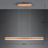 Suspension Trio-Leuchten Deacon LED Brun, 1 lumière