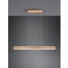 Suspension Trio-Leuchten Deacon LED Brun, 1 lumière