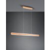 Suspension Trio-Leuchten Deacon LED Brun, 1 lumière