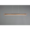 Suspension Trio-Leuchten Deacon LED, 1 lumière