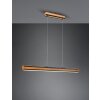 Suspension Trio-Leuchten Deacon LED, 1 lumière