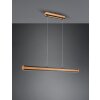 Suspension Trio-Leuchten Deacon LED, 1 lumière