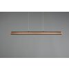 Suspension Trio-Leuchten Deacon LED, 1 lumière