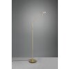 Lampadaire Trio-Leuchten Monza LED Laiton, 1 lumière
