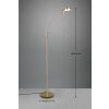 Lampadaire Trio-Leuchten Monza LED Laiton, 1 lumière