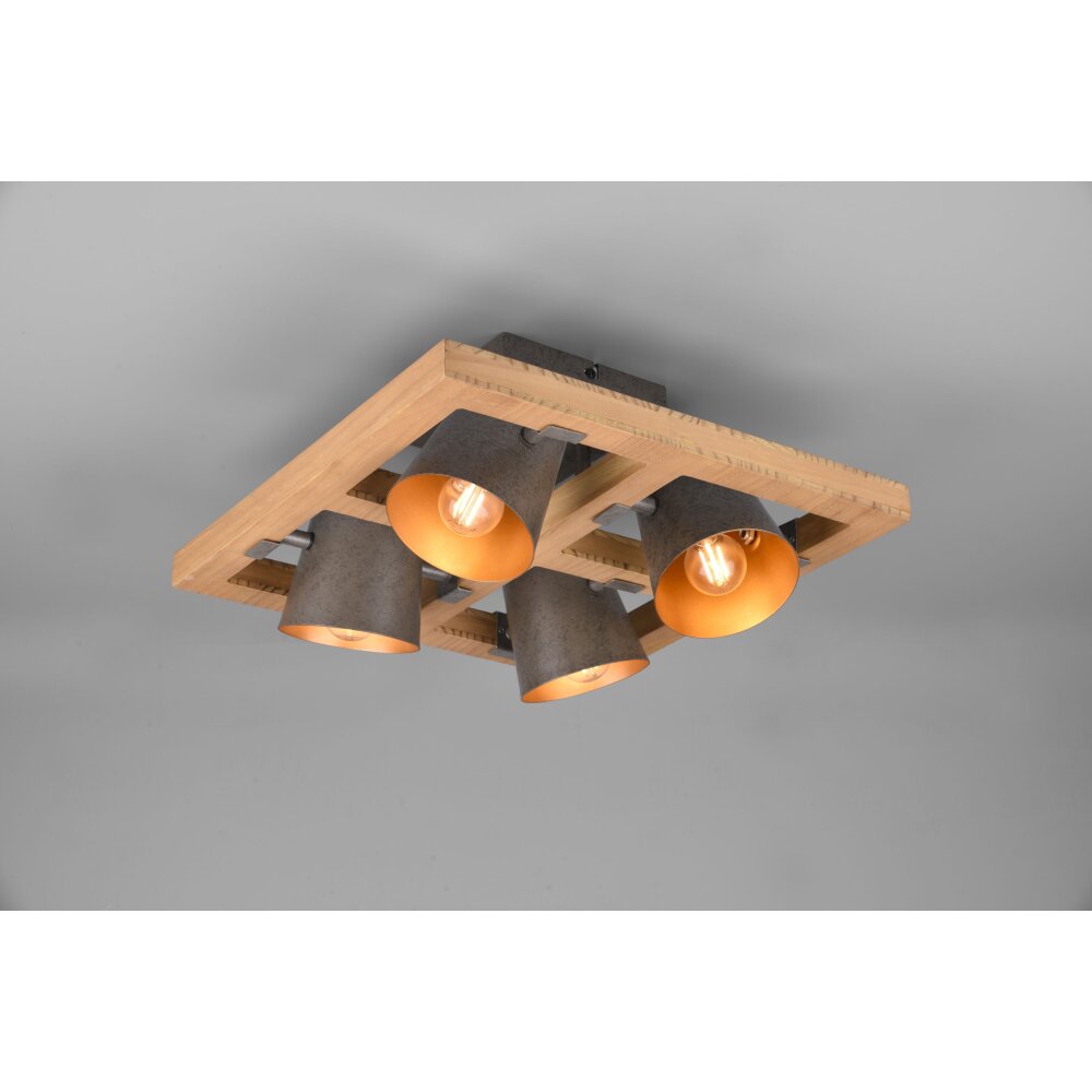 Plafonnier Trio-Leuchten Bell Brun foncé, Nickel mat, 4 lumières main product photo