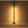Lampadaire Globo DORO LED Couleur bois, Noir, 1 lumière