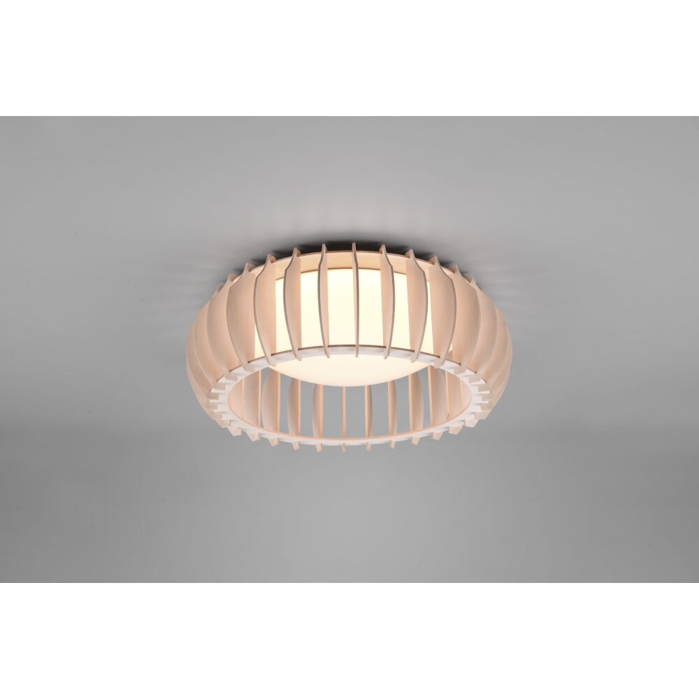 Plafonnier Reality Monte LED Blanc, 1 lumière main product photo