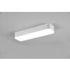 Plafonnier Reality Asterion LED Blanc, 1 lumière, Télécommandes
