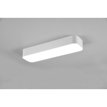Plafonnier Reality Asterion LED Blanc, 1 lumière, Télécommandes