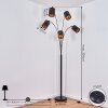 Lampadaire Bathinda Cuivré, Noir, 5 lumières