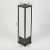 Borne lumineuse Apidou LED Anthracite, 1 lumière