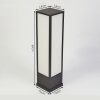 Borne lumineuse Apidou LED Anthracite, 1 lumière