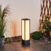 Borne lumineuse Apidou LED Anthracite, 1 lumière