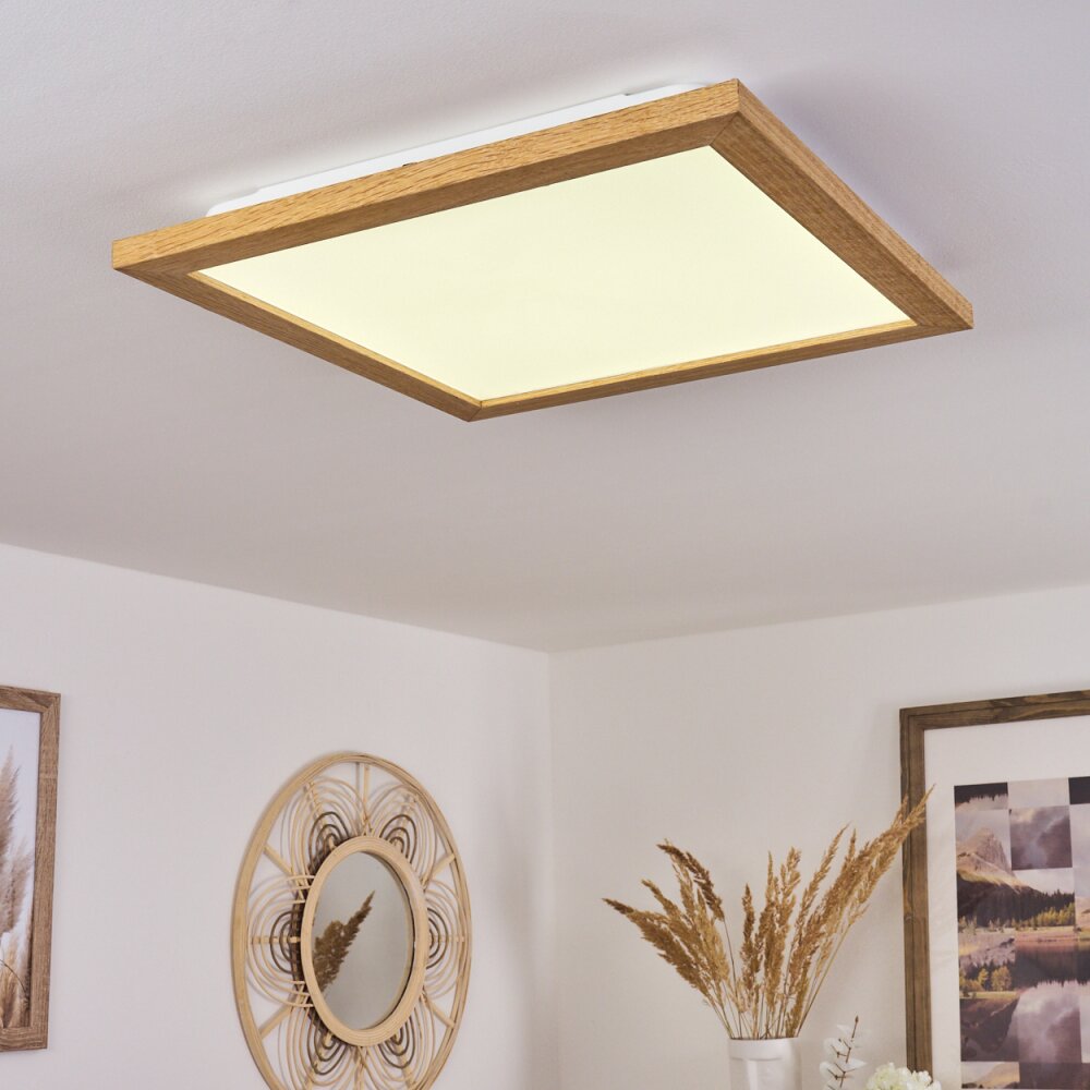 Plafonnier Raimea LED Blanc, 1 lumière main product photo