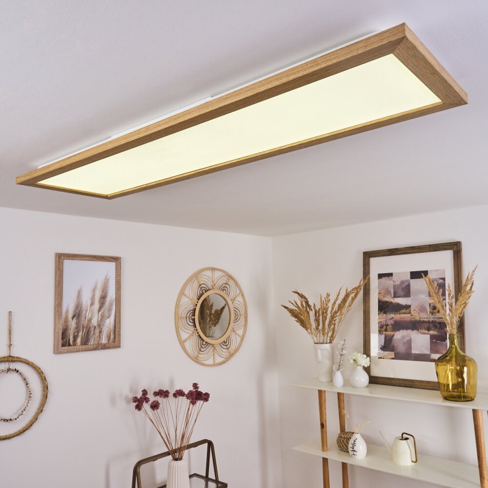 Plafonnier Raimea LED Blanc, 1 lumière main product photo